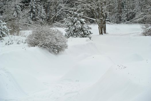 Winter landscape of a mountain river in the snow, around the forest.