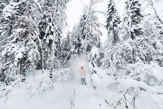 A tourist walks in a snow-covered forest. Winter forest in Estonia.Journey through the winter forest.