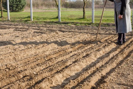 A woman stands behind land prepared for planting. Land prepared flower beds in which are planted seeds
