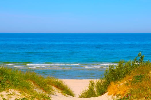 Beautiful view of the beach by the sea on a sunny day