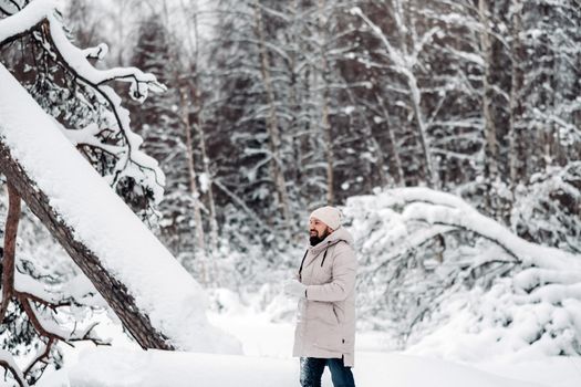 A tourist walks in a snow-covered forest. Winter forest in Estonia.Journey through the winter forest.