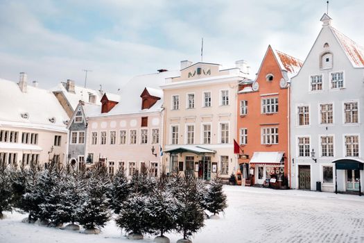Winter View of the old town of Tallinn.Snow-covered city near the Baltic sea. Estonia.
