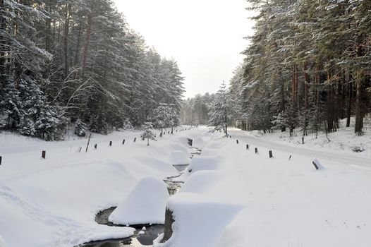 Winter landscape of a mountain river in the snow, around the forest.