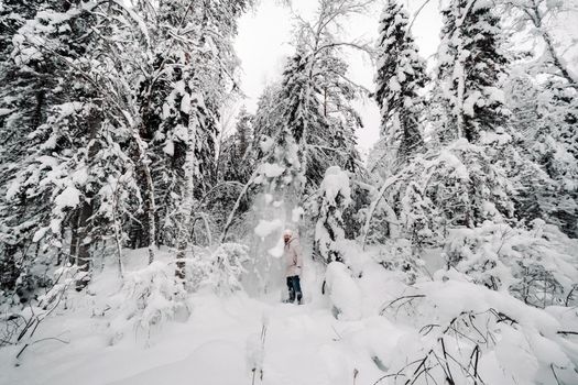 A tourist walks in a snow-covered forest. Winter forest in Estonia.Journey through the winter forest.