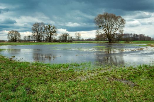Cloudy sky over a flooded green meadow, spring rural view