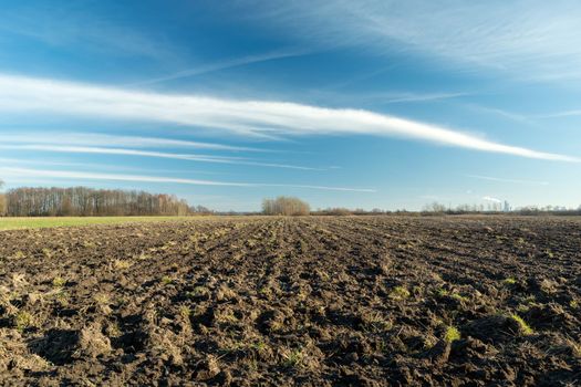 Plowed field and white clouds on a sky in eastern Poland