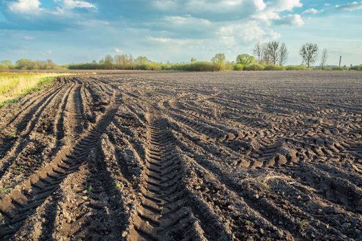 Wheel marks in a plowed field, spring day, Nowiny, Poland