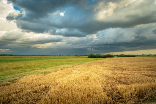 Cloudy sky over a stubble field, picturesque eastern Poland, summer day