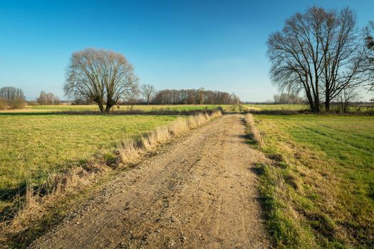 Unpaved road between green meadows and trees, picturesque eastern Poland