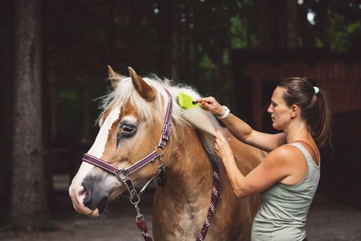 Caucasian woman taking care of her horse in the stables and out, brushing his har with a hairbrush. Beautiful friendly brown horse waiting patiently for his owner to clean him.