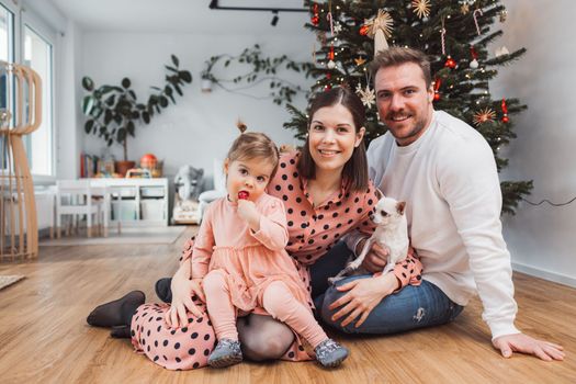 Beautiful young caucasian family Christmas portrait. Mom, dad and a little girl. Mom and daughter wearing pink dresses, dad wearing a white sweater. A little dog, chihuahua joining them on the photos. Family portrait in front of the Christmas tree.