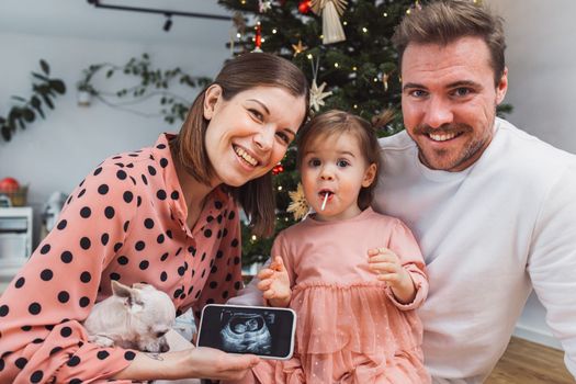 Beautiful young caucasian family Christmas portrait. Mom, dad and a little girl. Mom and daughter wearing pink dresses, dad wearing a white sweater. A little dog, chihuahua joining them on the photos. Family portrait in front of the Christmas tree.