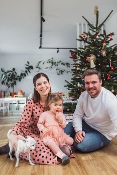 Beautiful young caucasian family Christmas portrait. Mom, dad and a little girl. Mom and daughter wearing pink dresses, dad wearing a white sweater. A little dog, chihuahua joining them on the photos. Family portrait in front of the Christmas tree.