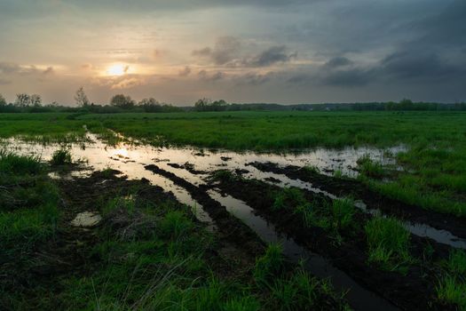 Water after a rainstorm in the meadow and the evening cloudy sky, spring view
