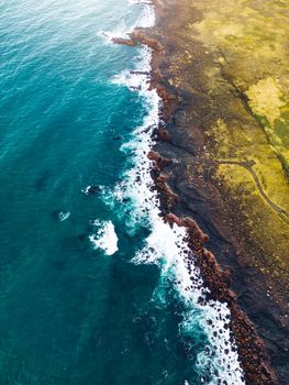 Atlantic puffins nesting in Iceland on the cliffs by the ocean. Autumn, 2022. High quality photo