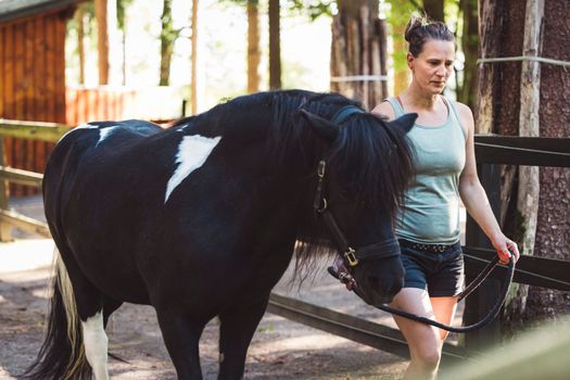 caucasian woman trainer in shorts taking out for a ride a black horse on a leash, walking side by side on a beautiful sunny day on the ranch.