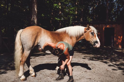 Woman taking care, grooming a horse outside in the forest on a horse ranch.