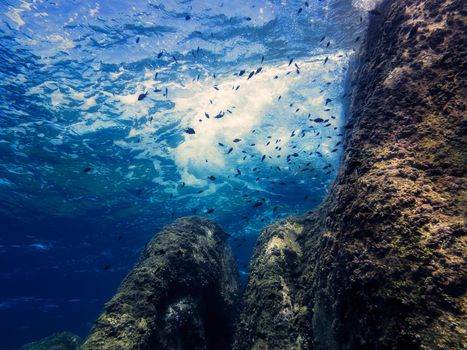 shot from bottom to top of the waves beating against the sea rocks, some small fish swim through the blue and crystal clear water and the sun is reflected on the surface of the sea