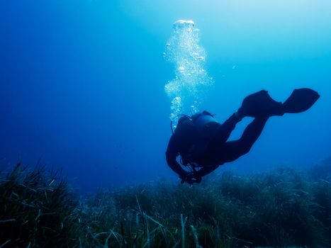 person dives relaxed on the bottom of the blue sea, the seabed is covered in seaweed. Diver breathing bubbles rise to the surface reflecting sunlight