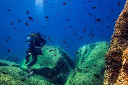 person diving near the rocky seafloor that is covered in small green algae, a school of red fishes swim around it and the bubbles of his breath rise through the blue water