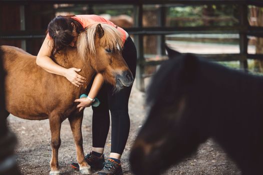 Caucasian woman taking care of her horse in the stables and out, brushing his har with a hairbrush. Beautiful friendly brown horse waiting patiently for his owner to clean him.