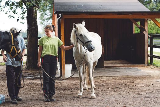 Caucasian woman trainer holding a white horse on the leash, taking hime horseback riding on the ranch.