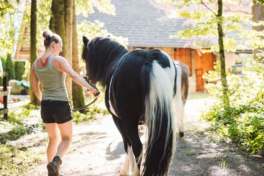 caucasian woman trainer in shorts taking out for a ride a black horse on a leash, walking side by side on a beautiful sunny day on the ranch.