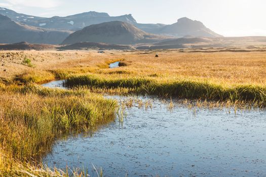 Lands around Snaefellsjokull glacier down in the valley, in the autumn, small river stream. Autumn sun.