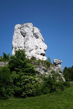 Bear - a rock near the castle in Ogrodzieniec in Poland