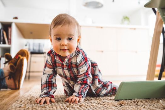 Cute little baby girl crawling on the rug under the dining room table, dressed in a Christmas dress.