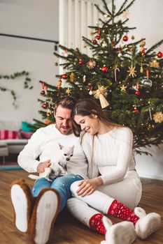 Young caucasian couple sitting in front of the Christmas tree with their dog little white chihuahua. Family portrait.