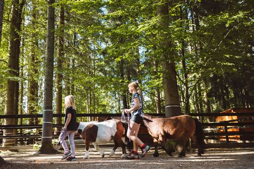 Children walking with ponies, small horses, holding them for a leash. Cute mini horses walking with children on the ranch.