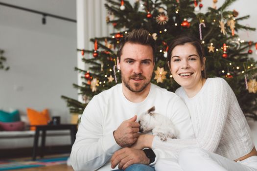 Young caucasian couple sitting in front of the Christmas tree with their dog little white chihuahua. Family portrait.