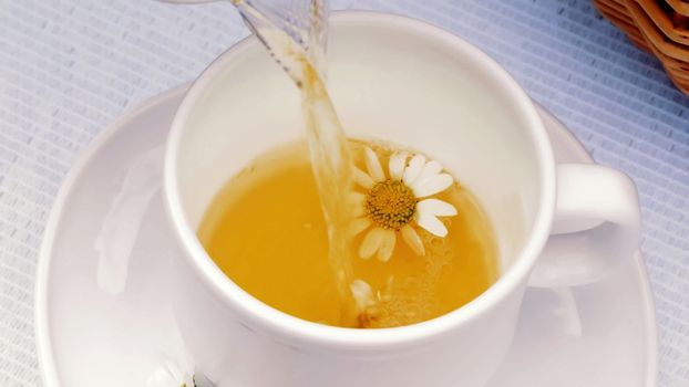 A close-up, a white cup, there are chamomile flowers in it. The cup is filled with boiling water, chamomile tea. High quality photo