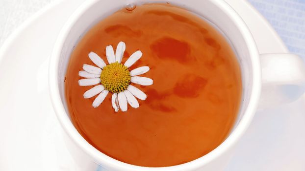 A close-up, a white cup with tea, a daisy flower floating on top of it. High quality photo