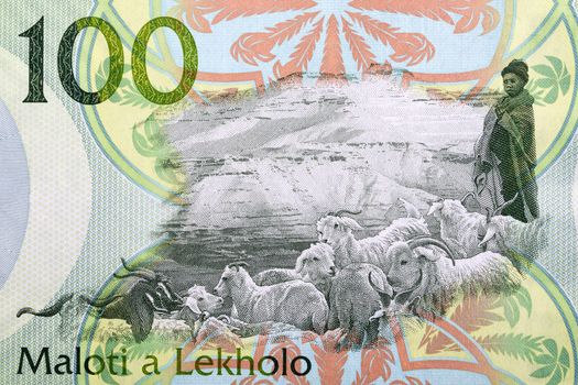 Goats from banknotes of Lesotho - Maloti