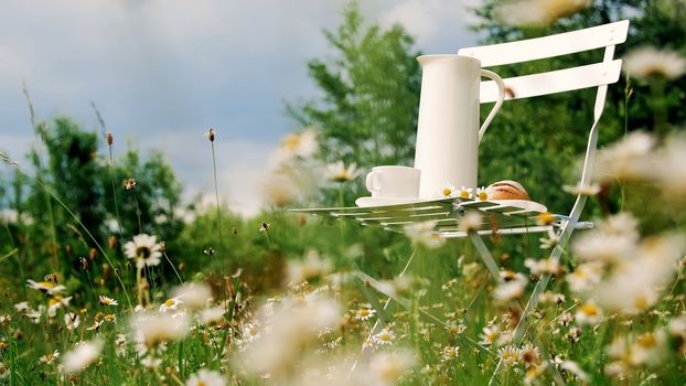 Among the chamomile lawn, against the blue sky is a white chair. On it a composition from a white jug, a white cup with tea, a batch and a bouquet of chamomiles. High quality photo