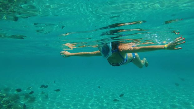 in the sea, a girl in a special snorkeling mask swims, examines fish, corrals, the beauty of the underwater world, on a hot summer day, while on vacation. High quality photo