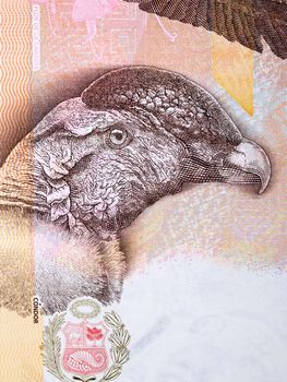 Condor a portrait from Peruvian money - Soles