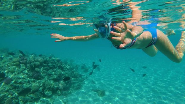 in the sea, a girl in a special snorkeling mask swims, examines fish, corrals, the beauty of the underwater world, on a hot summer day, while on vacation. High quality photo