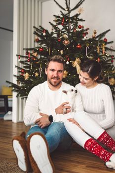 Young caucasian couple sitting in front of the Christmas tree with their dog little white chihuahua. Family portrait.