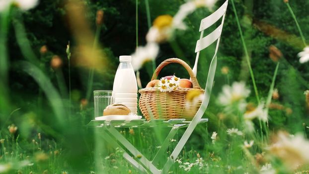 In the middle of a chamomile lawn, on a white chair is a bottle of milk, a basket of apples and bread. High quality photo