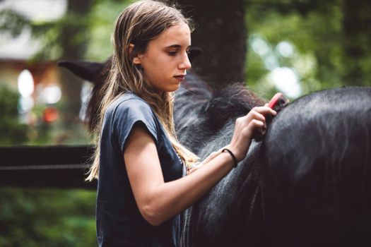 Waist up young woman grooming horses fur, brushing it with a brush outside in the forest on the ranch, 