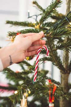 Unrecognizable caucasian woman decorating the Christmas tree, putting red ornament on the tree, holding a red Christmas ornament. 