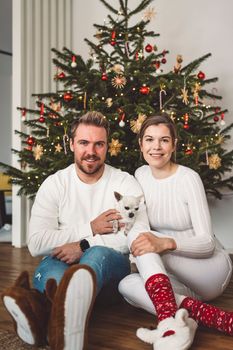 Young caucasian couple sitting in front of the Christmas tree with their dog little white chihuahua. Family portrait.