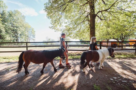 Children walking with ponies, small horses, holding them for a leash. Cute mini horses walking with children on the ranch.