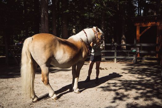 Back view of a horse being taken back to the stables by his trainer. At the ranch. 