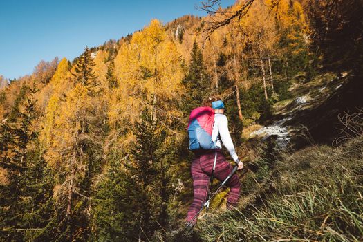 Caucasian woman hiker with hiking poles, hiking on a sunny autumn day somewhere in European Alps. 