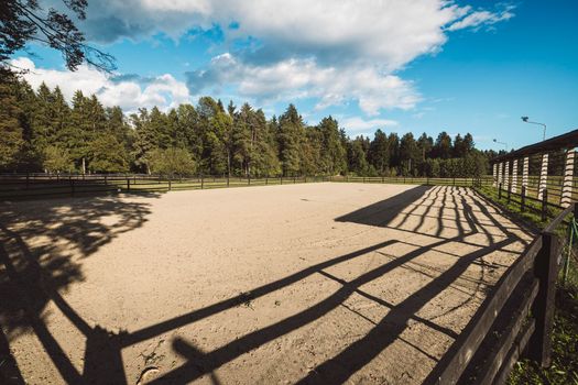 At the horse ranch on a beautiful sunny summer day. Neatly taken care of, beautifully arranges horse ranch somewhere in Slovenia. 