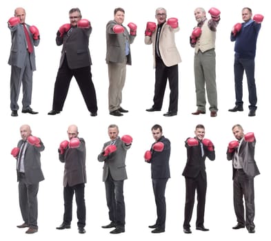 collage of businessmen in boxing gloves isolated on white background